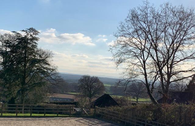 Hascombe Accommodation Esterno foto