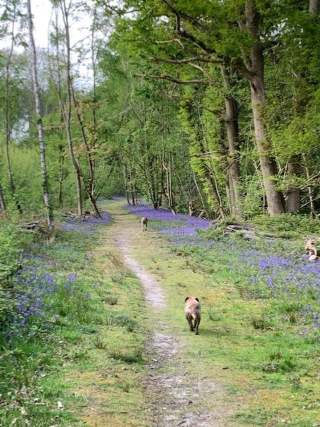 Hascombe Accommodation Esterno foto